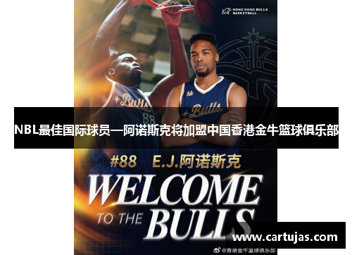 NBL最佳国际球员—阿诺斯克将加盟中国香港金牛篮球俱乐部